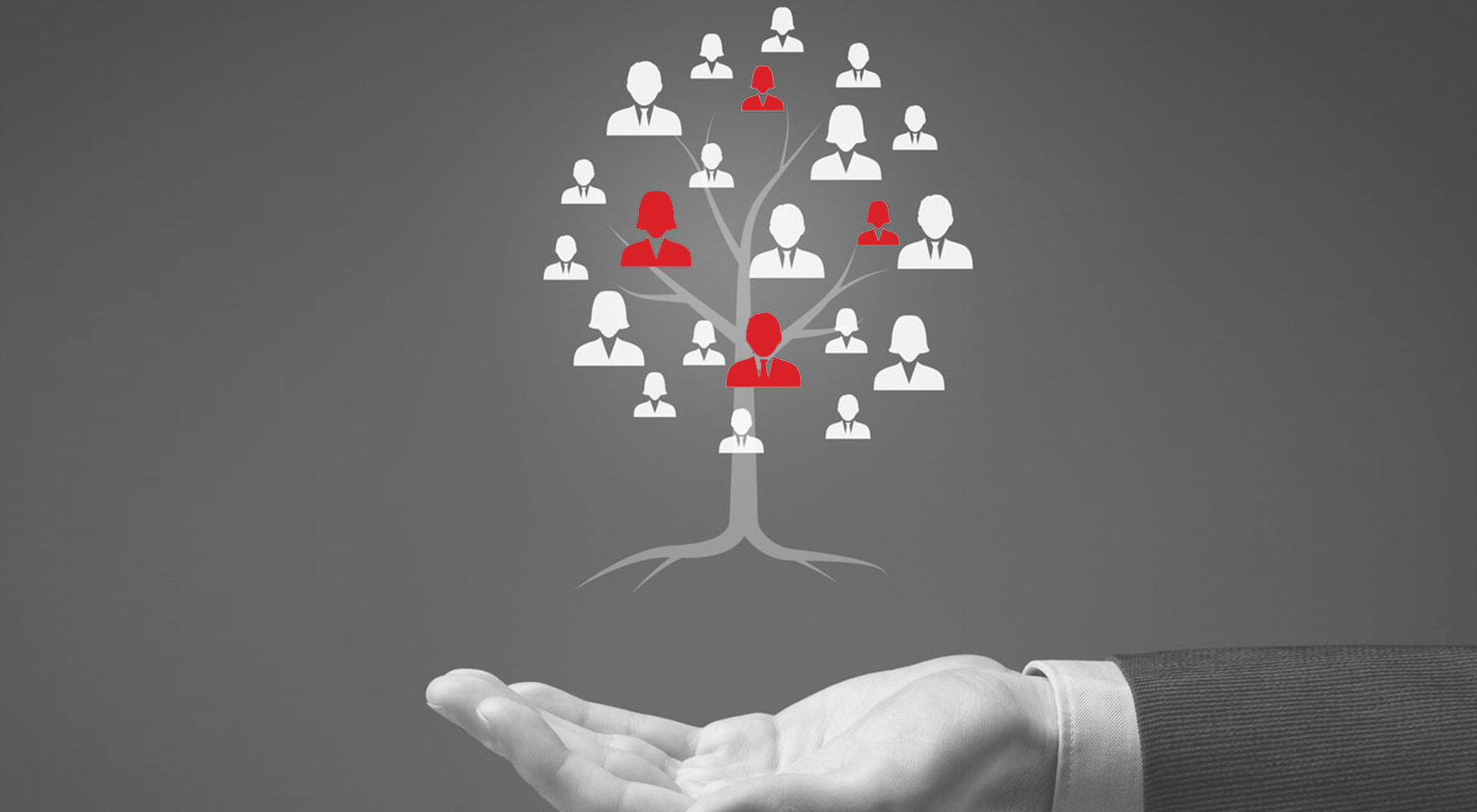 Внедрение CRM для бизнеса